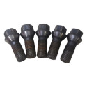5 Parafuso Roda Bmw 116 2014