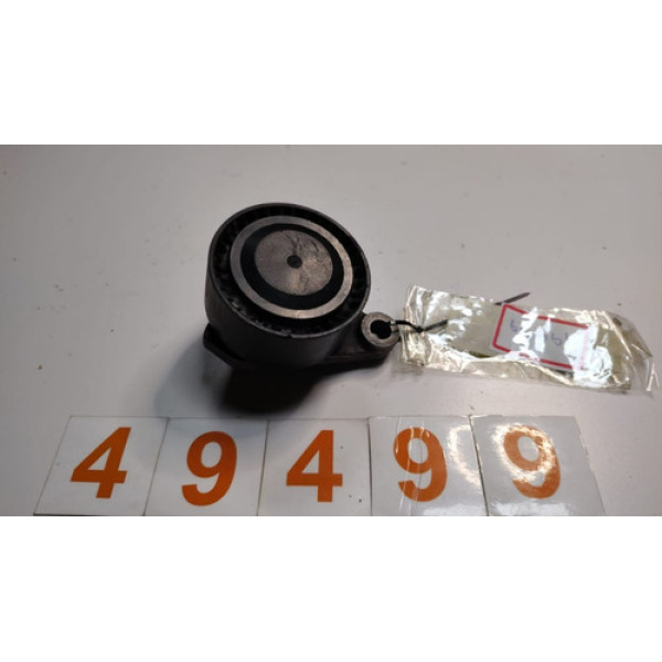 Esticador Correia Poly V Bmw X6 2010 6cc =49499 Pr092