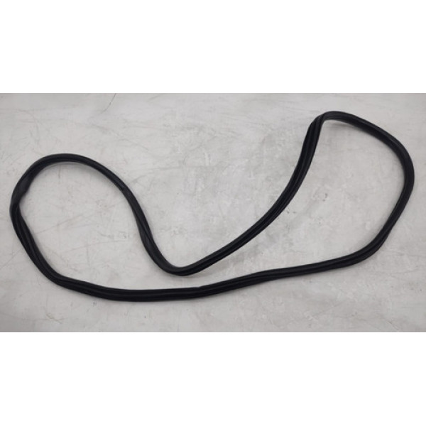 Borracha Porta Bmw 320 2014 2013 2015 2016 Traseira Direita  Preto