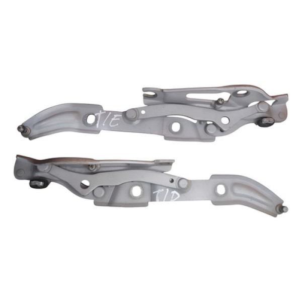 Par Dobradiça Tampa Traseira Bmw 320i 2010