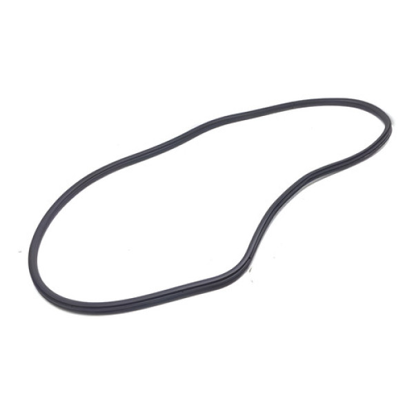 Borracha Porta Bmw 328 320 2013 Dianteira Direita Original