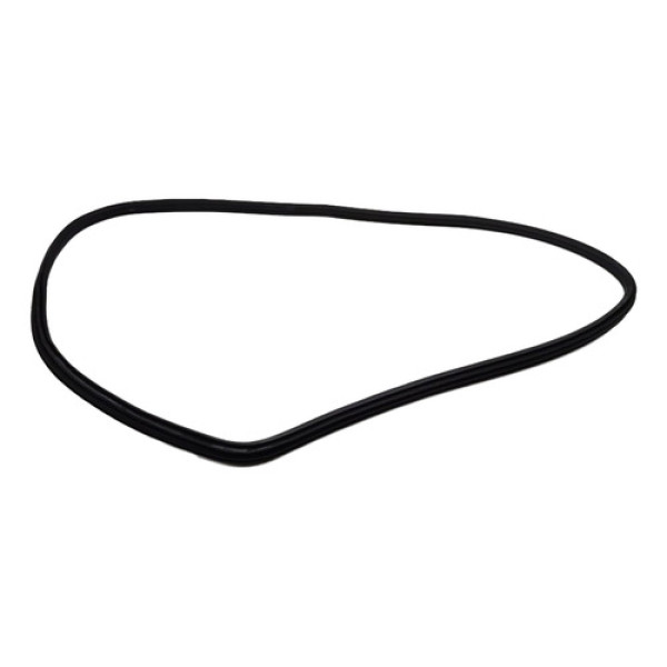 Borracha Porta Carroceria Bmw 320 2017 Traseira Esquerda 