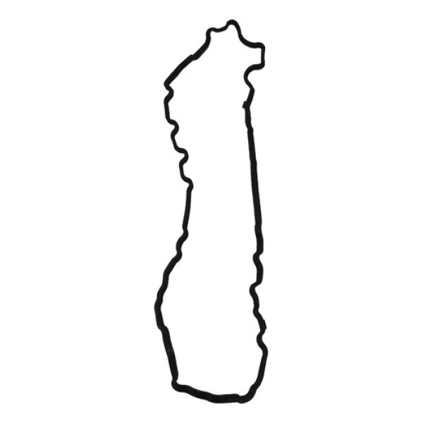 Borracha Junta Tampa Valvula Bmw 320i 2014