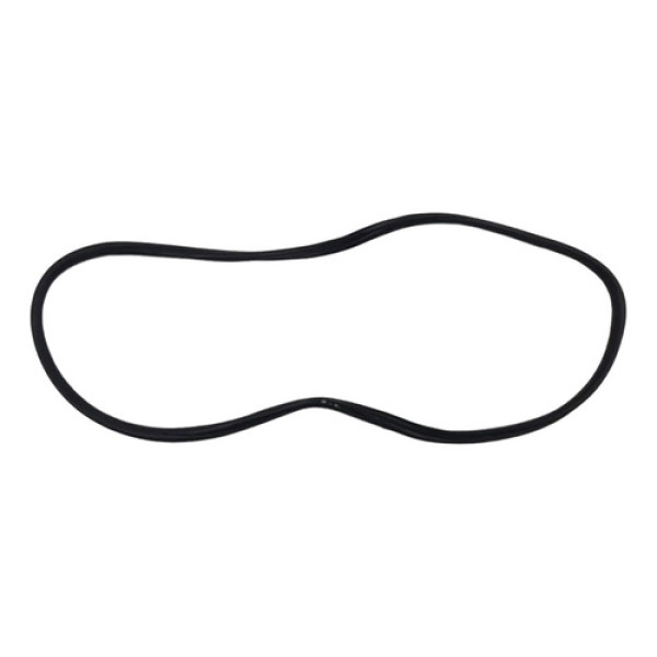 Borracha Porta Bmw 320 2015 2016 2017 Traseira Esquerda C Preto