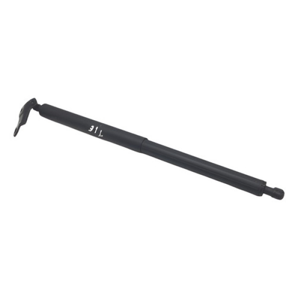 Amortecedor Tampa Traseira Elétrica Bmw X1 M 2020 Esquerda