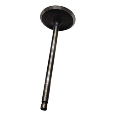 Valvula Admissão Cab...