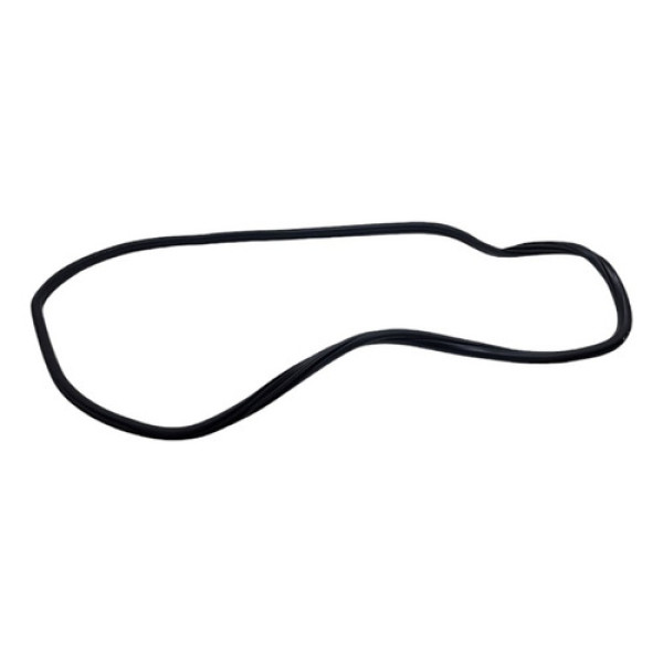 Borracha Porta Traseira Direita Bmw X1 2019