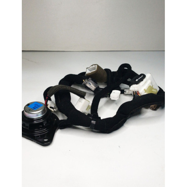 Tweeter Porta Hyundai Equus 2012 Dianteira Esquerda 