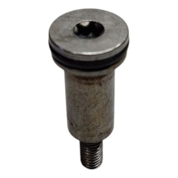 Parafuso Esticador Correia Bmw 116 2014