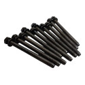 10 Parafusos Cabeçote Bmw 116 118 N13 2015
