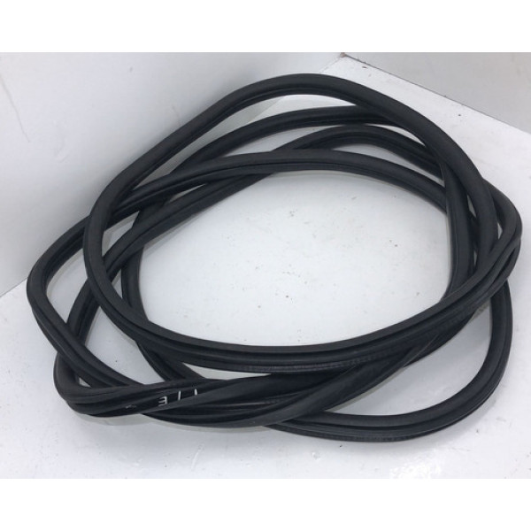 Borracha Porta Bmw X4 2014 2015 2016 Traseira Esquerda 