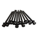 10 Parafusos Cabeçote Bmw 116 118 N13 2015