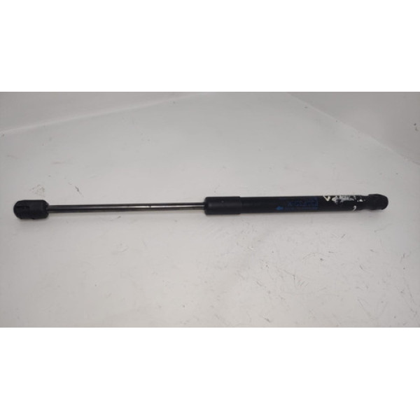 Amortecedor Tampa Traseira Bmw 320 2014