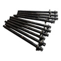 10 Parafusos Cabeçote Bmw 116 118 2014 N13