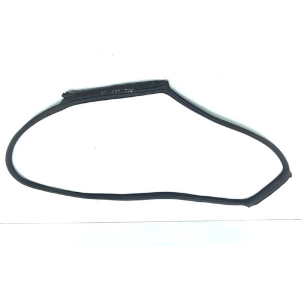 Borracha Porta Traseira Bmw 535 Gt 2011 Esquerda