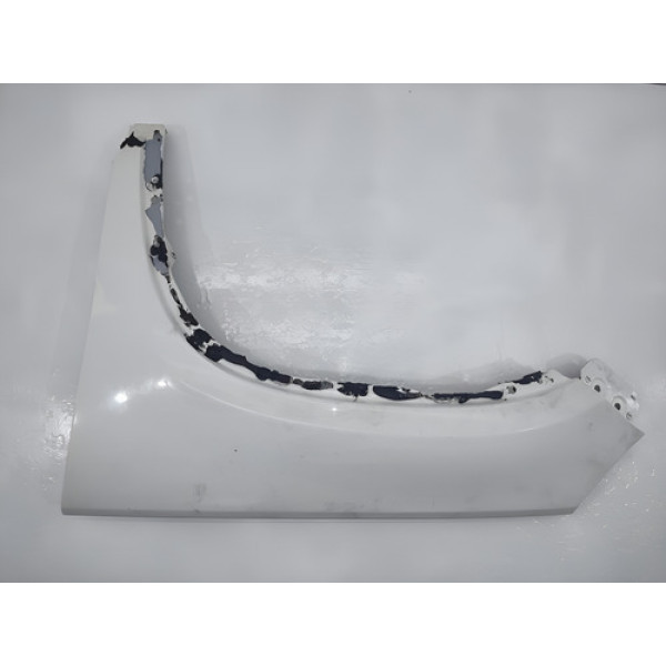 Paralama Tiguan 2010 2011 2012 Dianteiro Esquerdo Original