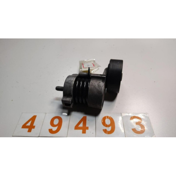 Esticador Correia Poly V Bmw 320 2006 =49493 Pr092