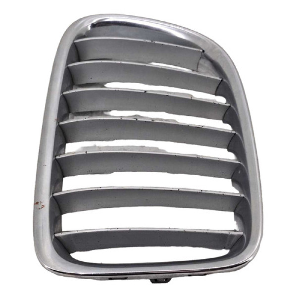 Grade Capo Parachoque Bmw X1 2011 Dianteira Esquerda 1 1