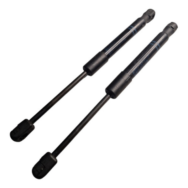 Par Amortecedor Capo Bmw 320 2020 